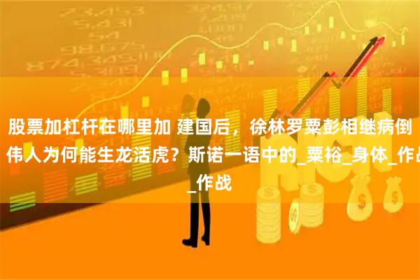 股票加杠杆在哪里加 建国后，徐林罗粟彭相继病倒，伟人为何能生龙活虎？斯诺一语中的_粟裕_身体_作战