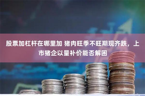 股票加杠杆在哪里加 猪肉旺季不旺期现齐跌,上市猪企以量补价能否解困